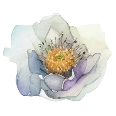 Vektör suluboya çiçek. El çizimi çiçek tasarımı elementleri beyaz arkaplanda izole.