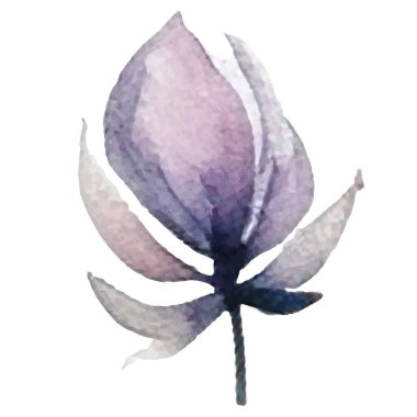 Vektör suluboya çiçek. El çizimi çiçek tasarımı elementleri beyaz arkaplanda izole.