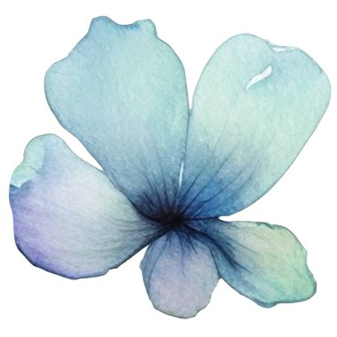 Vektör suluboya çiçek. El çizimi çiçek tasarımı elementleri beyaz arkaplanda izole.