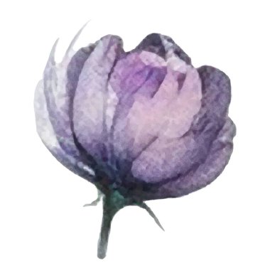 Vektör suluboya çiçek. El çizimi çiçek tasarımı elementleri beyaz arkaplanda izole.