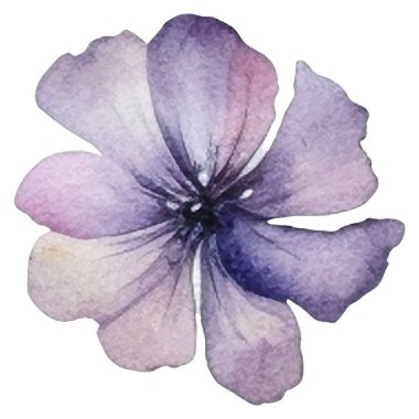 Vektör suluboya çiçek. El çizimi çiçek tasarımı elementleri beyaz arkaplanda izole.