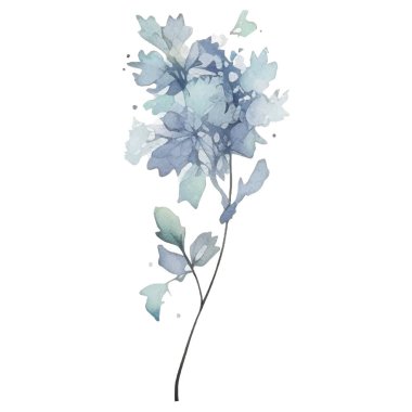 Vektör suluboya çiçek. El çizimi çiçek tasarımı elementleri beyaz arkaplanda izole.