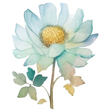 Vektör suluboya çiçek. El çizimi çiçek tasarımı elementleri beyaz arkaplanda izole.