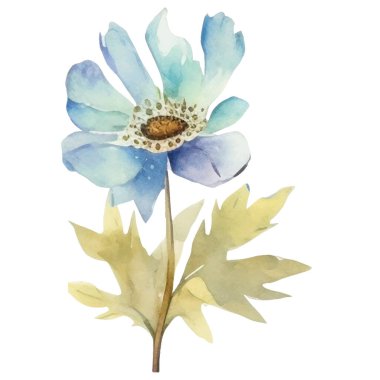 Vektör suluboya çiçek. El çizimi çiçek tasarımı elementleri beyaz arkaplanda izole.