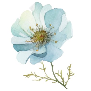 Vektör suluboya çiçek. El çizimi çiçek tasarımı elementleri beyaz arkaplanda izole.