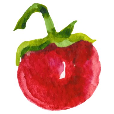 Domatesli kiraz boyalı suluboya. El çizimi taze gıda tasarım elementi beyaz arka planda izole.