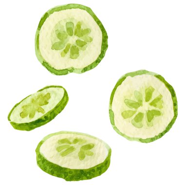 Suluboya boyalı salatalık. El çizimi taze gıda tasarım elementi beyaz arka planda izole.