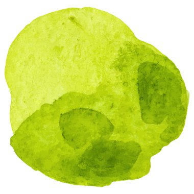 Brüksel lahanası boyalı suluboya El beyaz arka planda izole edilmiş taze gıda tasarımı elementi çizdi