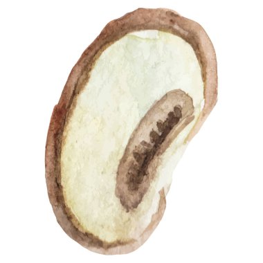 Suluboya şampiyonluğu. El çizimi taze gıda tasarım elementi beyaz arka planda izole.