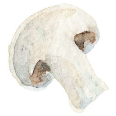 Suluboya şampiyonluğu. El çizimi taze gıda tasarım elementi beyaz arka planda izole.