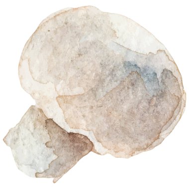 Suluboya şampiyonluğu. El çizimi taze gıda tasarım elementi beyaz arka planda izole.