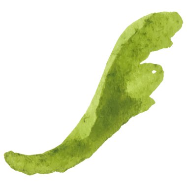 Vektör Suluboya çiçek yaprağı El çizimi çiçek tasarımı ögesi beyaz arkaplanda izole