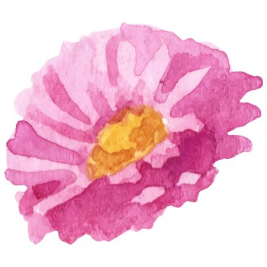 Çiçek boyalı vektör El çizilmiş çiçek tasarımı ögesi beyaz arkaplanda izole