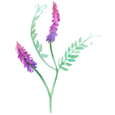 Çiçek boyalı vektör El çizilmiş çiçek tasarımı ögesi beyaz arkaplanda izole