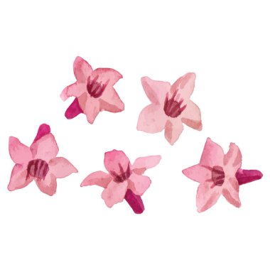 Çiçek boyalı vektör El çizilmiş çiçek tasarımı ögesi beyaz arkaplanda izole