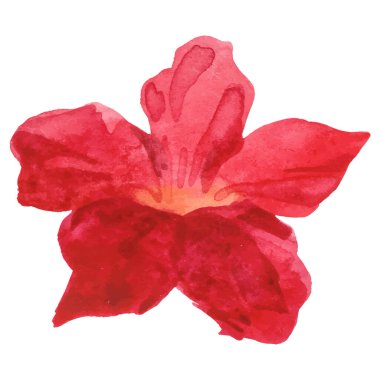 Çiçek boyalı vektör El çizilmiş çiçek tasarımı ögesi beyaz arkaplanda izole