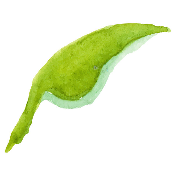 Vector Watercolor painted flower leaf Hand drawn flower design element isolated on white background