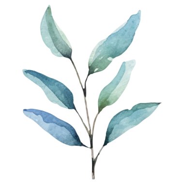 Suluboya şakayık çiçeği. El çizimi tasarım ögesi beyaz arkaplanda izole edildi.