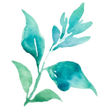 Vektör suluboya gül çiçeği. El çizimi tasarım ögesi beyaz arkaplanda izole edildi.