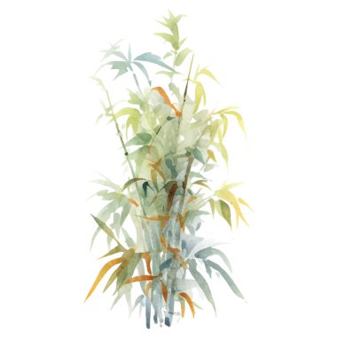 Bambu boyalı vektör suluboya. El çizimi çiçek tasarımı elementleri beyaz arkaplanda izole.
