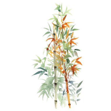 Bambu boyalı vektör suluboya. El çizimi çiçek tasarımı elementleri beyaz arkaplanda izole.