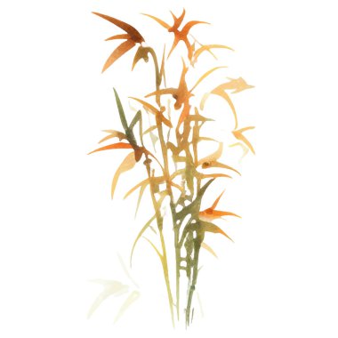 Bambu boyalı vektör suluboya. El çizimi çiçek tasarımı elementleri beyaz arkaplanda izole.