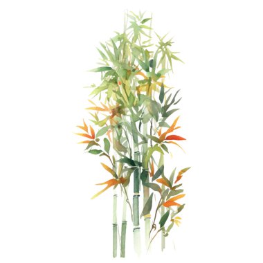 Bambu boyalı vektör suluboya. El çizimi çiçek tasarımı elementleri beyaz arkaplanda izole.