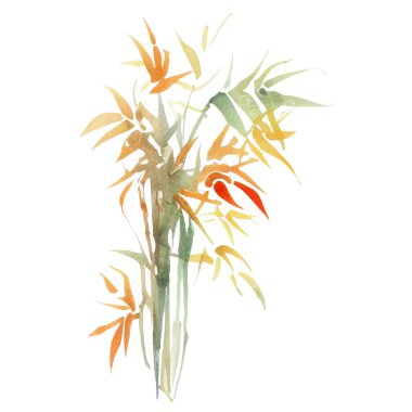 Bambu boyalı vektör suluboya. El çizimi çiçek tasarımı elementleri beyaz arkaplanda izole.