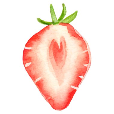 Çilek boyalı suluboya. El çizimi taze gıda tasarım elementi beyaz arka planda izole.