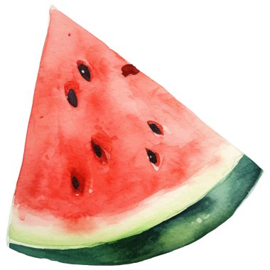 Suluboya boyalı karpuz. El çizimi taze gıda tasarım elementi beyaz arka planda izole.