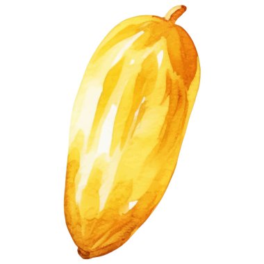 Suluboya meyve verir. El çizimi taze gıda tasarım elementi beyaz arka planda izole.