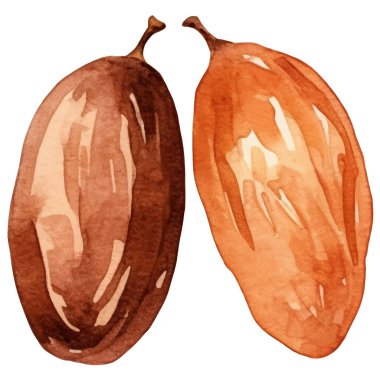 Suluboya meyve verir. El çizimi taze gıda tasarım elementi beyaz arka planda izole.