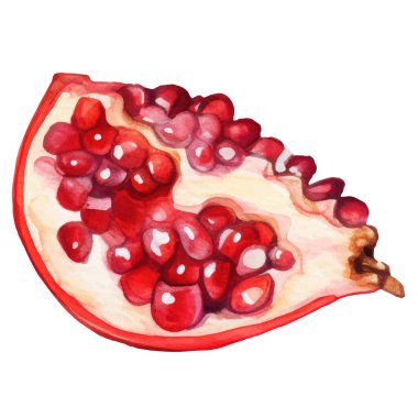 Suluboya boyalı nar meyvesi. El çizimi taze gıda tasarım elementi beyaz arka planda izole.