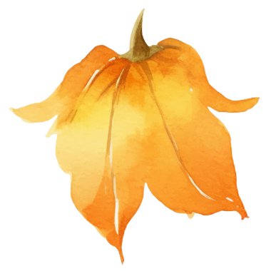 Filiz meyvesi boyalı suluboya. El çizimi taze gıda tasarım elementi beyaz arka planda izole.