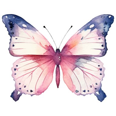 Vektör suluboya kelebek. El çizimi tasarım ögeleri beyaz arkaplanda izole edildi.