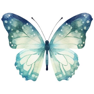 Vektör suluboya kelebek. El çizimi tasarım ögeleri beyaz arkaplanda izole edildi.