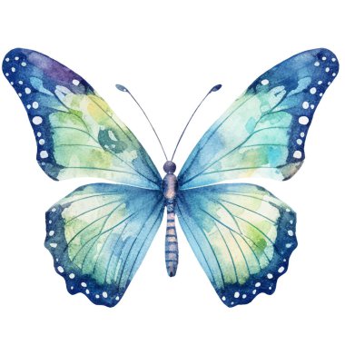 Vektör suluboya kelebek. El çizimi tasarım ögeleri beyaz arkaplanda izole edildi.