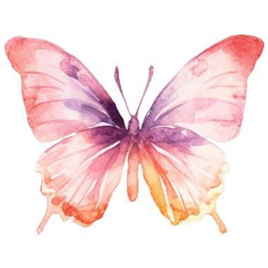 Vektör suluboya kelebek. El çizimi tasarım ögeleri beyaz arkaplanda izole edildi.