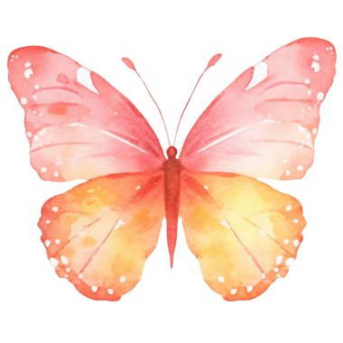 Vektör suluboya kelebek. El çizimi tasarım ögeleri beyaz arkaplanda izole edildi.