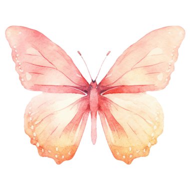 Vektör suluboya kelebek. El çizimi tasarım ögeleri beyaz arkaplanda izole edildi.