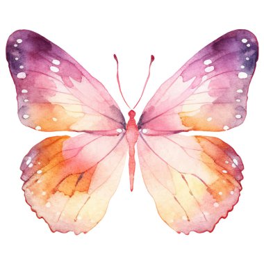 Vektör suluboya kelebek. El çizimi tasarım ögeleri beyaz arkaplanda izole edildi.