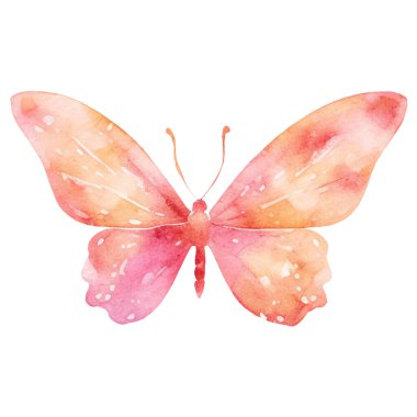 Vektör suluboya kelebek. El çizimi tasarım ögeleri beyaz arkaplanda izole edildi.