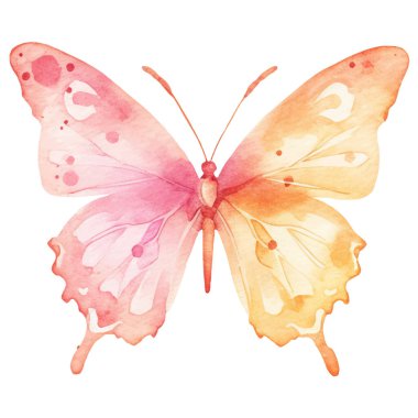 Vektör suluboya kelebek. El çizimi tasarım ögeleri beyaz arkaplanda izole edildi.