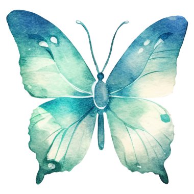 Vektör suluboya kelebek. El çizimi tasarım ögeleri beyaz arkaplanda izole edildi.