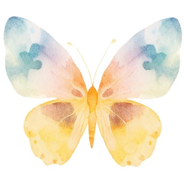 Vektör suluboya kelebek. El çizimi tasarım ögeleri beyaz arkaplanda izole edildi.