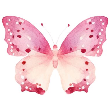 Vektör suluboya kelebek. El çizimi tasarım ögeleri beyaz arkaplanda izole edildi.