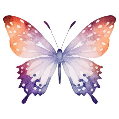 Vektör suluboya kelebek. El çizimi tasarım ögeleri beyaz arkaplanda izole edildi.