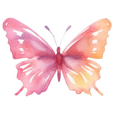 Vektör suluboya kelebek. El çizimi tasarım ögeleri beyaz arkaplanda izole edildi.