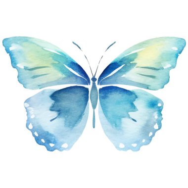 Vektör suluboya kelebek. El çizimi tasarım ögeleri beyaz arkaplanda izole edildi.