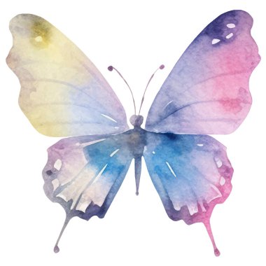 Vektör suluboya kelebek. El çizimi tasarım ögeleri beyaz arkaplanda izole edildi.